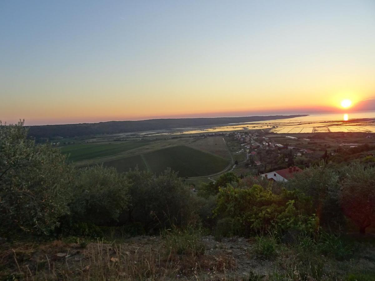 Val&Sol Apartments Sečovlje エクステリア 写真